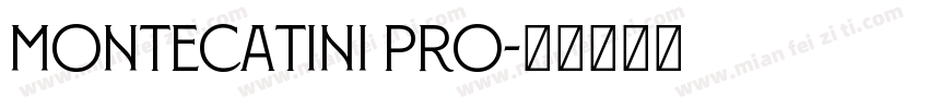 Montecatini Pro字体转换